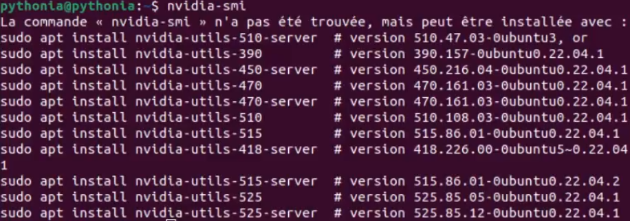 nvidia-smi error command line pythonia