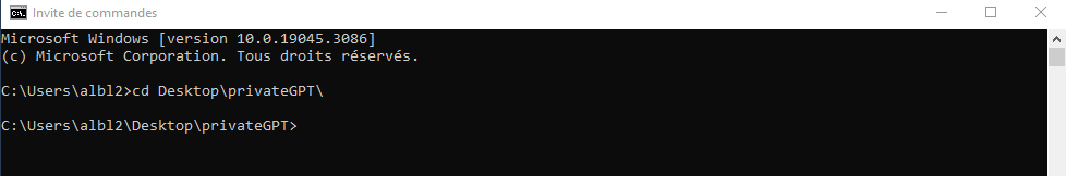 privateGPT pythonia formation installation